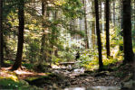 Maine 1995
